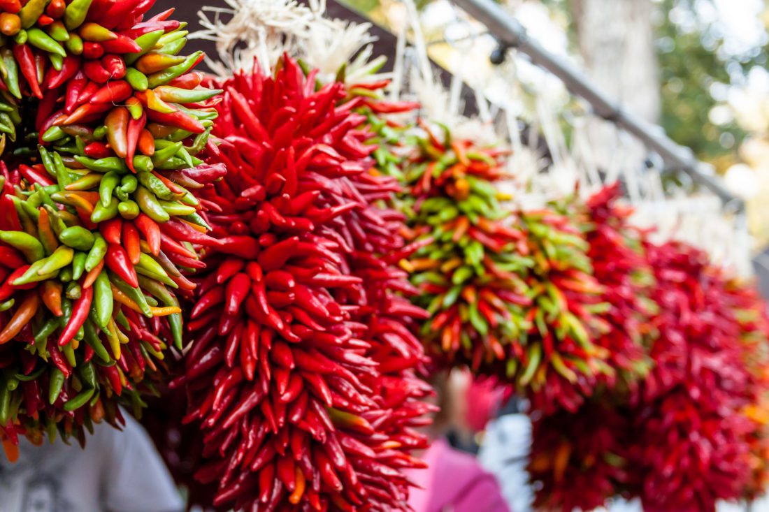Lynette-R-Johnson-Art-of-the-Senses-Chilis-Hanging