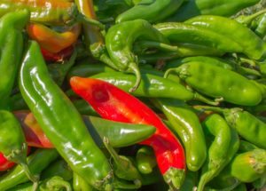 Lynette-R-Johnson-Art-of-the-Senses-chile-peppers