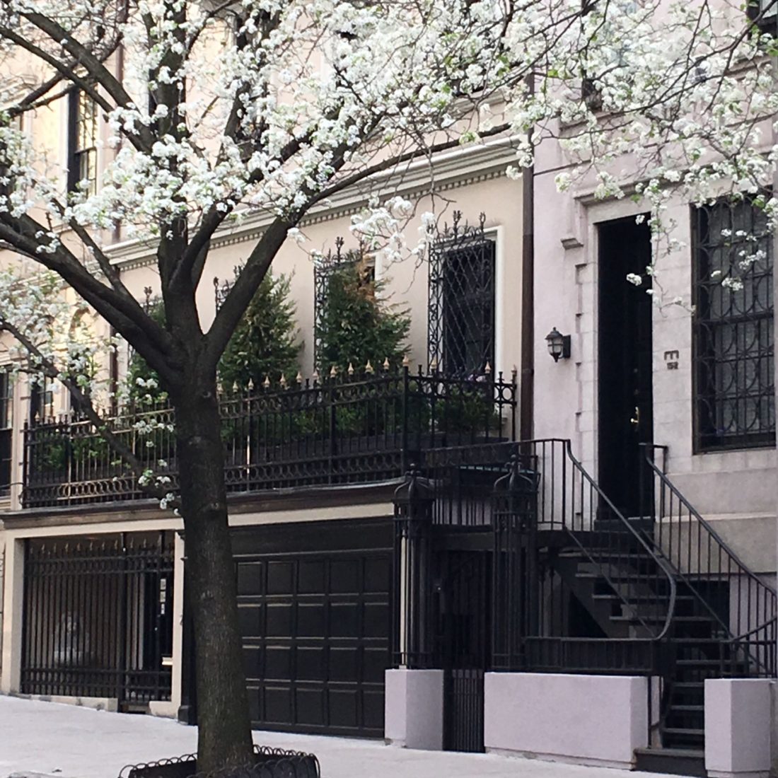 Art-of-Travel-New-York-Cherry-Blossoms