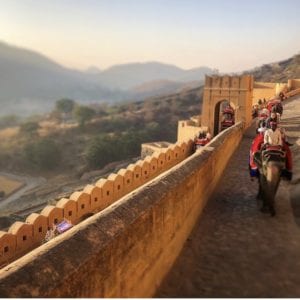 Art-of-Travel-India-Amber-Fort-Elephant